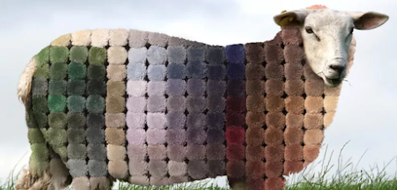 Southern Yarn Dyers Inc