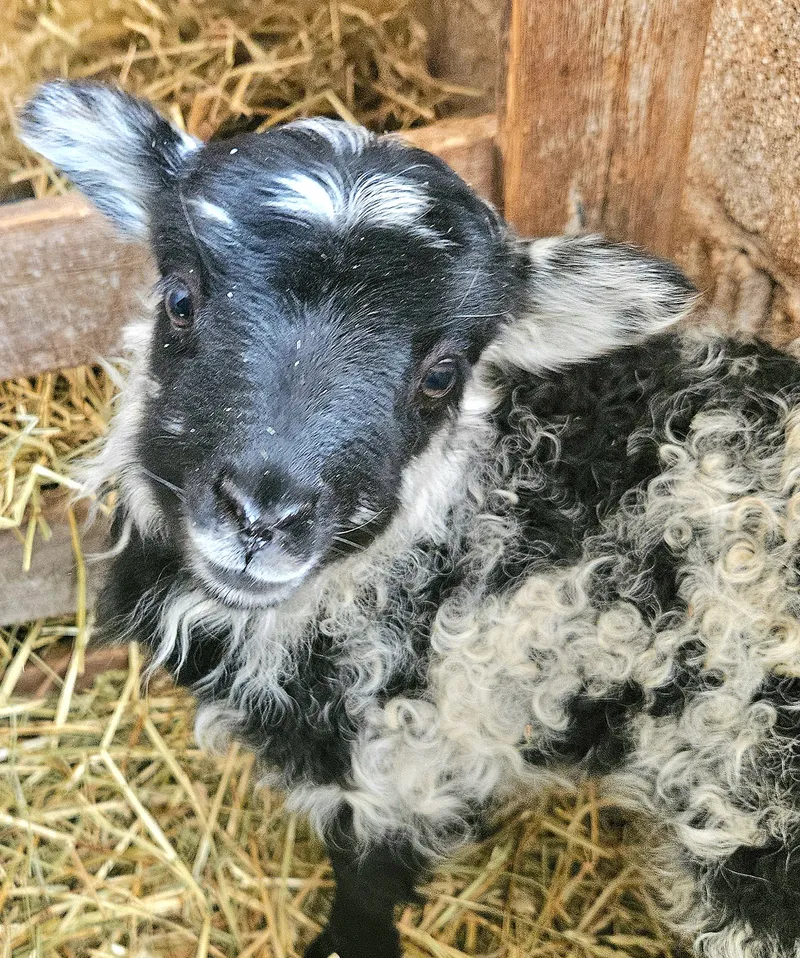 JK Evergreen Ranch LLC