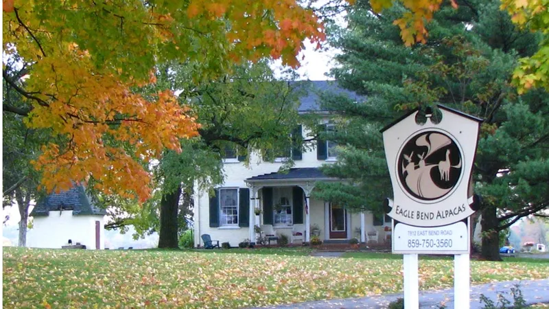 Eagle Bend's Yarn and Fiber Shop